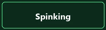 Spinking Casino